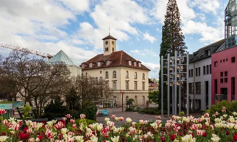 Limpieza de Apartamentos Hoteleros Sindelfingen